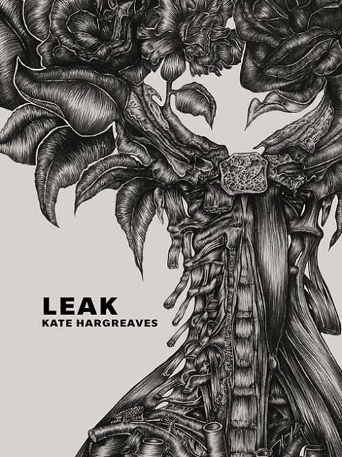 cover of the book Leak