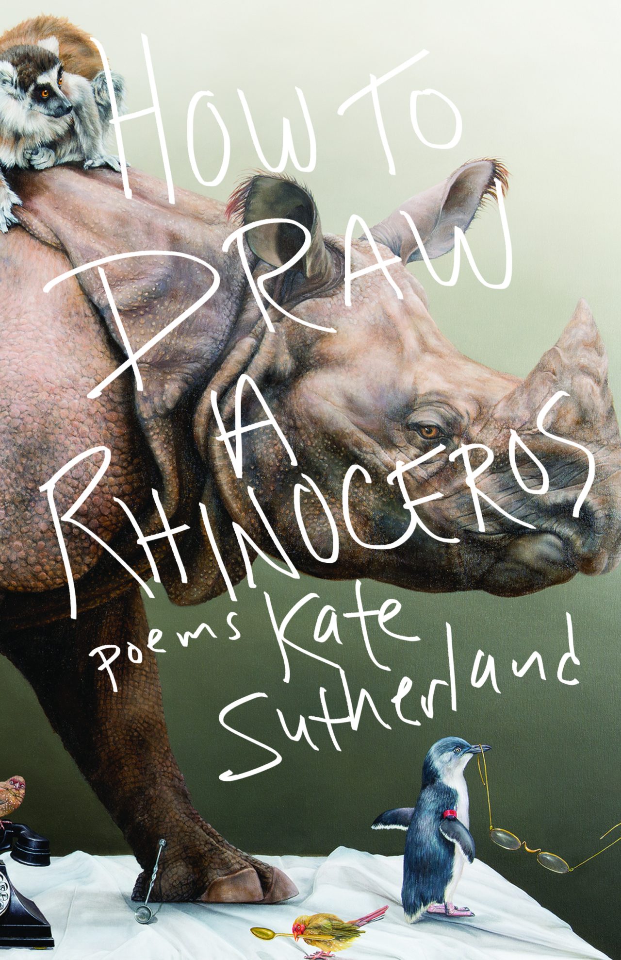 cover of How to Draw a Rhinoceros