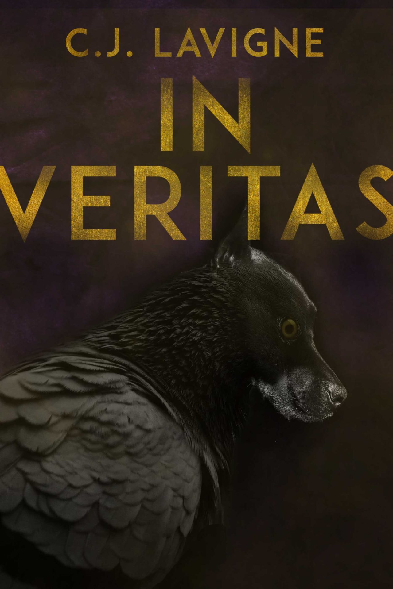 cover of In Veritas