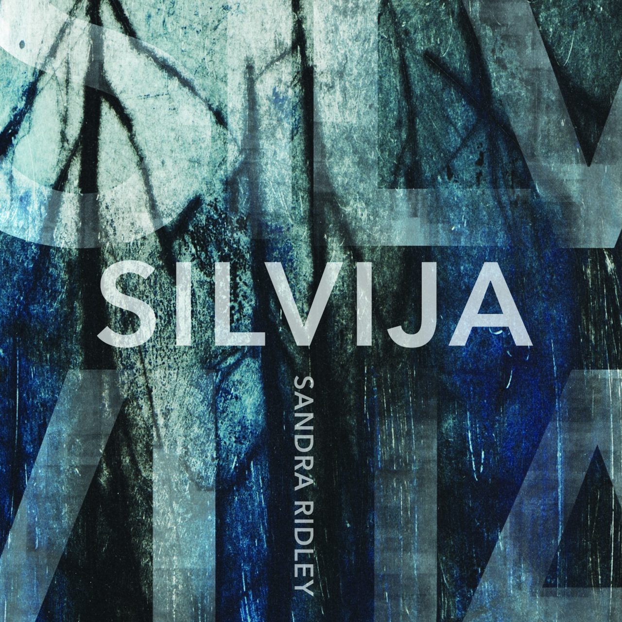 cover of Silvija